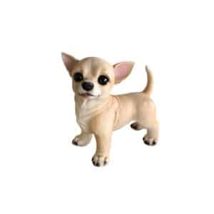 Cachorro Chihuahua Mel