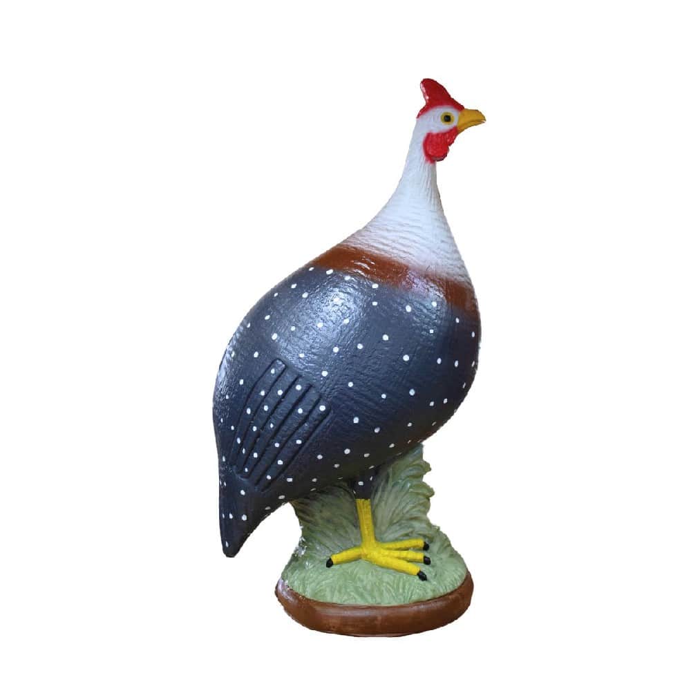 Galinha De Angola 1 Galinha De Angola
