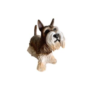 Cachorro Schnawzer Rex