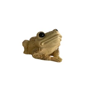 Sapo P Marrom