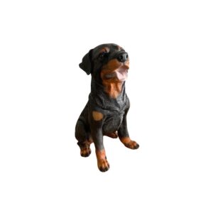 Cachorro Rottweiler Tor