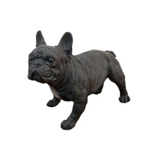 Cachorro Bulldog Frances Oscar - Pr