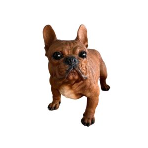 Cachorro Bulldog Frances Oscar - Mr