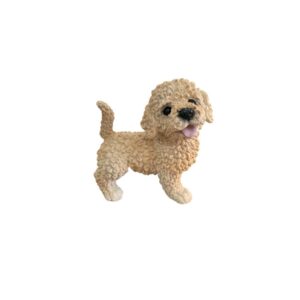 Cachorro Poodle Bud Abricot