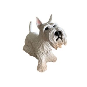 Cachorro Schnauzer Rex Branco
