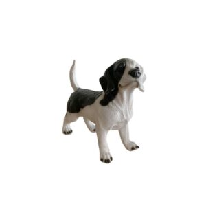 Cachorro Vira Lata Branco E Preto