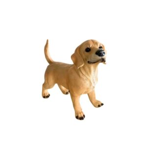 Cachorro Vira Lata Caramelo