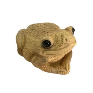 Sapo G Marrom