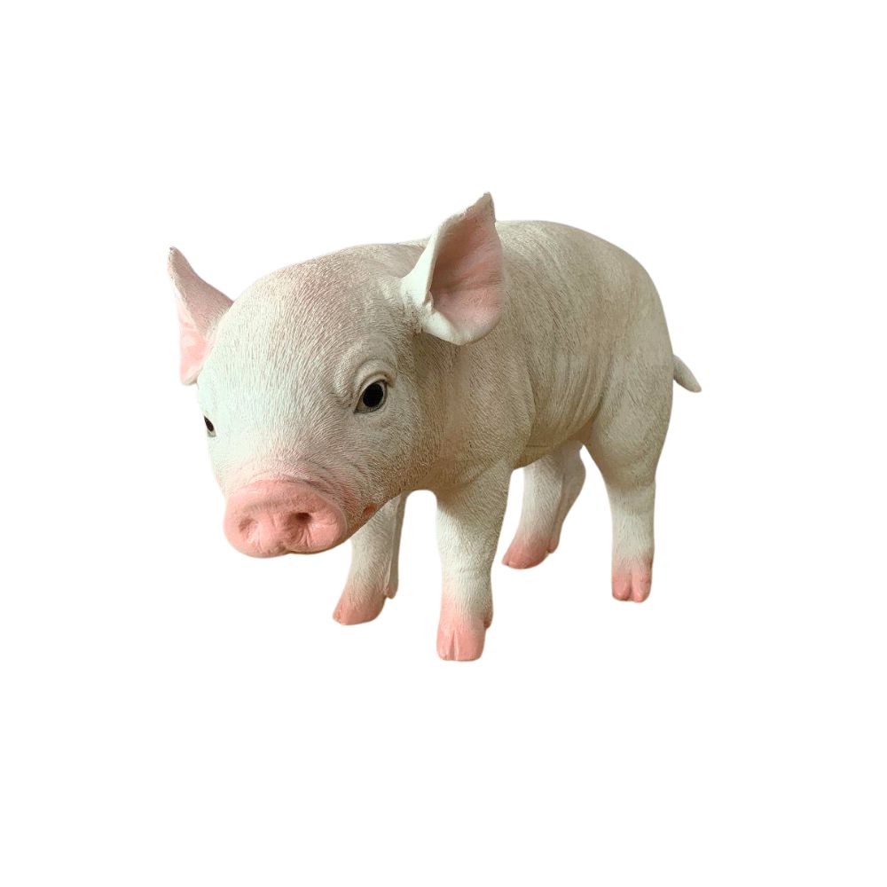 Porco Baby Ea Pink G 1 Porco Baby Ea Pink G