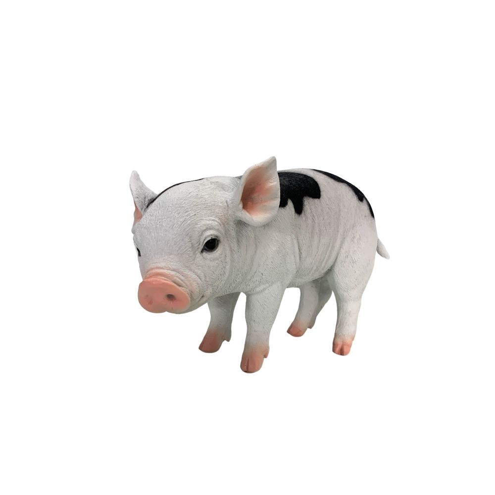 Porco Baby Ea Branco E Preto G 1 Porco Baby Ea Branco E Preto G