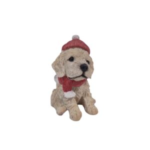 Cachorro Golden P Teco - Verm