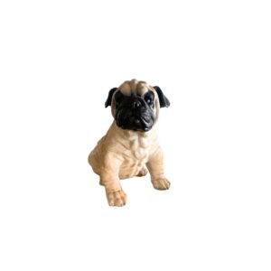 Cachorro Pug Ted Fulvo