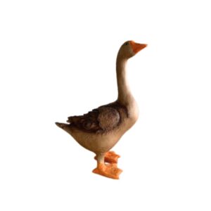Patucho Marrom