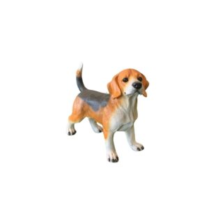 Cachorro Beagle Bili P