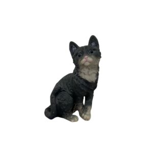 Gato Fellix Preto