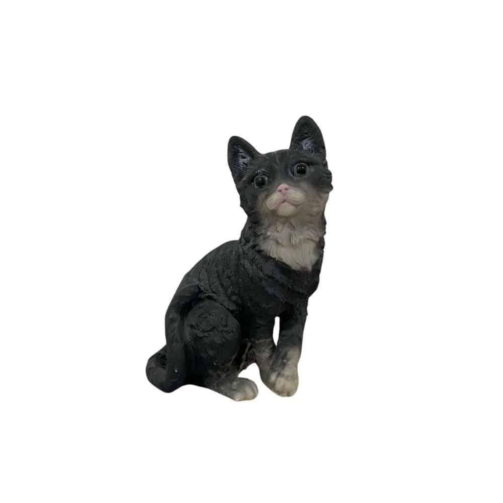 Gato Fellix Preto 1 Gato Fellix Preto