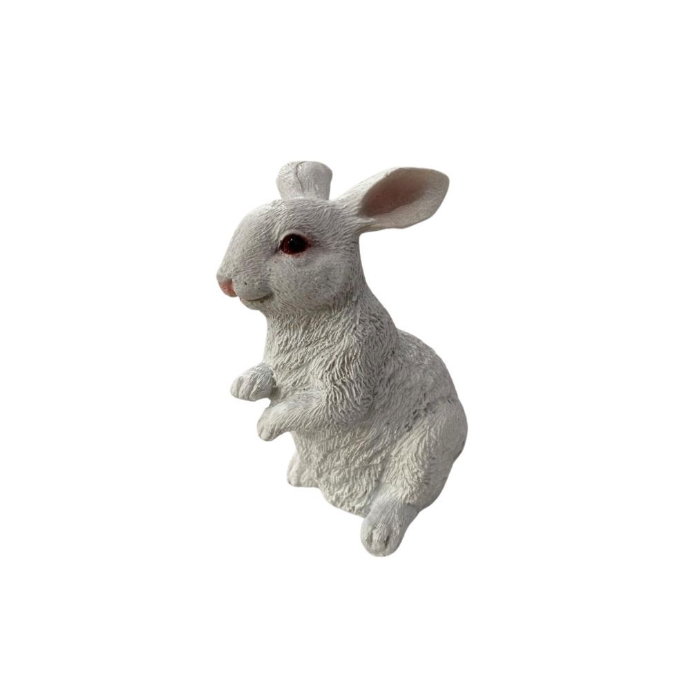 Coelho Pp Branco 1 Coelho Pp Branco