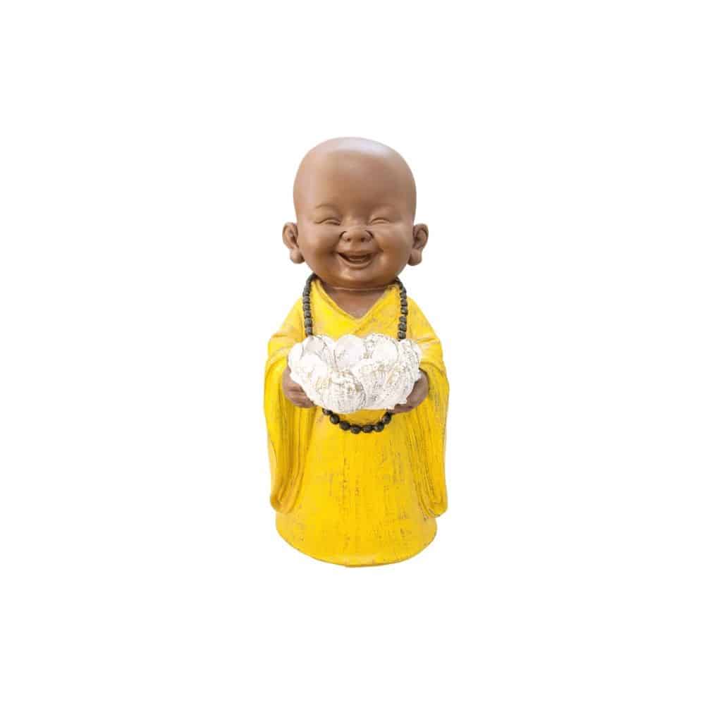 Monge Lotus Amarelo E Marrom 1 Monge Lotus Amarelo E Marrom