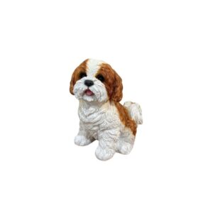 Cachorro Shih-tzu Chico Mr/br