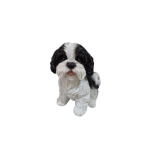 Cachorro Shih-tzu Chico Pr/br