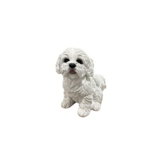 Cachorro Shih-tzu Chico Branco