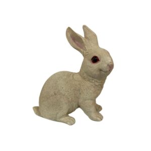 Coelho Amora Bege