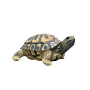 Tartaruga